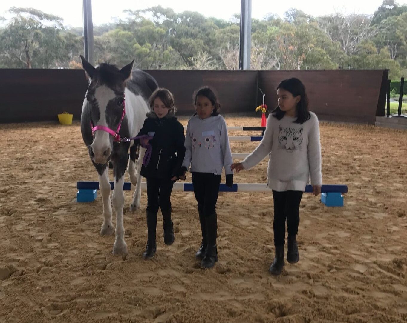3 girls and horse